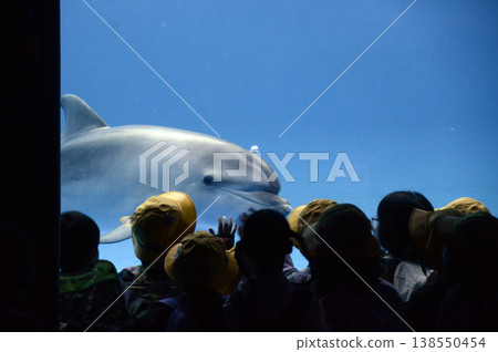 Aquarium scenery Aquarium scenery 138550454