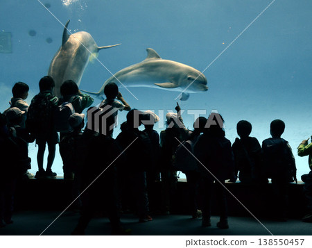 水族館風景 水族館風景 138550457