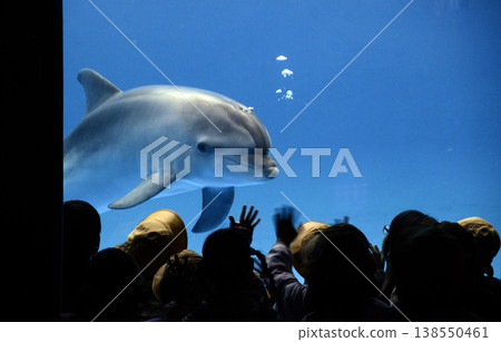 水族館風景 138550461