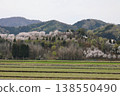 [Echizen City, Fukui Prefecture - April] Cherry blossoms in full bloom adorn Funayama Mountain; Funayama Mountain and Kofun Mountain viewed from the foot of the mountain. 138550490