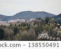 [Echizen City, Fukui Prefecture - April] Cherry blossoms in full bloom adorn Funayama Mountain; Funayama Mountain and Kofun Mountain viewed from the foot of the mountain. 138550491