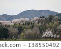[Echizen City, Fukui Prefecture - April] Cherry blossoms in full bloom adorn Funayama Mountain; Funayama Mountain and Kofun Mountain viewed from the foot of the mountain. 138550492
