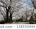 [Echizen City, Fukui Prefecture, April] Cherry blossoms in full bloom adorn Funayama Mountain; countless Buddha statues and cherry blossoms in full bloom 138550494