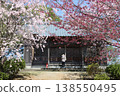 [Echizen City, Fukui Prefecture, April] Cherry blossoms in full bloom adorn Funayama Mountain; visit to Funayama Daishido Temple 138550495
