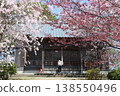 [Echizen City, Fukui Prefecture, April] Cherry blossoms in full bloom adorn Funayama Mountain; visit to Funayama Daishido Temple 138550496
