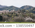 [Echizen City, Fukui Prefecture - April] Cherry blossoms in full bloom adorn Funayama Mountain; Funayama Mountain and Kofun Mountain viewed from the foot of the mountain. 138550497
