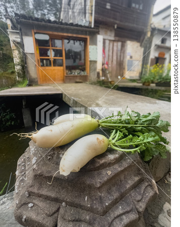 Fresh daikon radishes rest on weathered stone beside water. Fresh daikon radishes rest on weathered stone beside water. 138550879