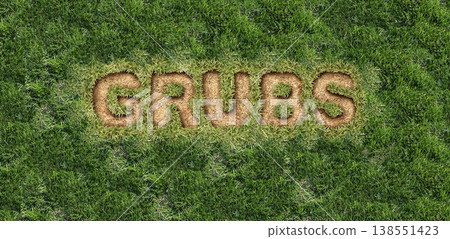 Grub Lawn Damage Grub Lawn Damage 138551423