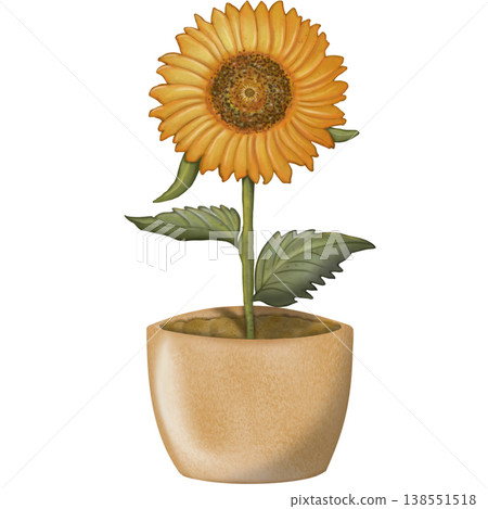Sunflower hand drawn watercolor spring floral set. Hand drawn yellow flower, leaf, Cute nature decorate element design. Sunflower hand drawn watercolor spring floral set. Hand drawn yellow flower, leaf, Cute nature decorate element design. 138551518