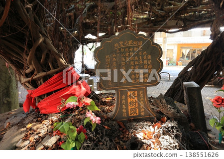 Tongliang Ancient Banyan Tree, Baisha, Penghu, Taiwan 138551626