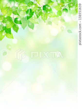 Fresh green frame background [EPS data is easy to edit with separate layers] 138551639