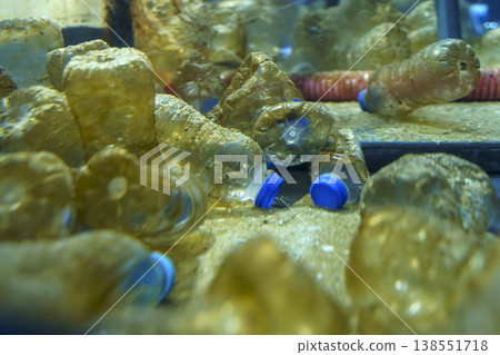 Underwater Scene with Plastic Bottles Polluting Environment Showing Marine Pollution Concept 138551718