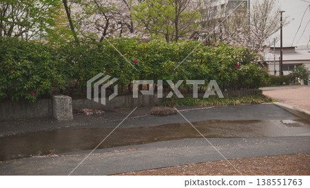 被雨水打濕的公園步道 138551763