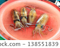Soft silk, squid, fish market, fish products, fresh fish, seafood, Penghu 138551839