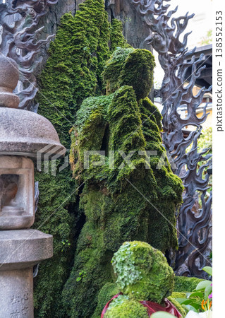 Moss-covered Mizukake Fudo statue at Hozen-ji Temple in Osaka, Japan 138552153
