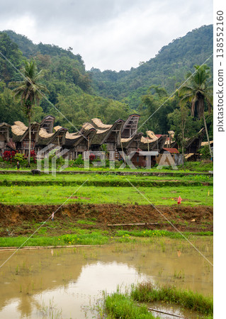 Traditional Toraja village with rice fields in Sulawesi, Indonesia 138552160