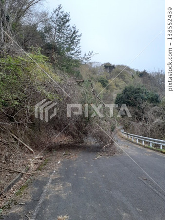 Fallen trees blocking the road Fallen trees blocking the road 138552439
