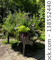 There are flowers and plants planted around the grand piano. 138552440