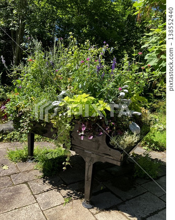 三角鋼琴周圍種植了花草。 三角鋼琴周圍種植了花草。 138552440