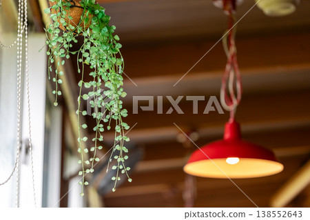 室內窗邊垂掛的綠色藤蔓植物 138552643