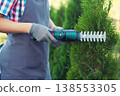 hand trimming bush with electric shears in garden 138553305
