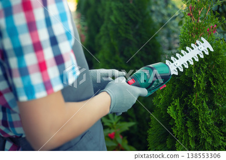 gardener trimming bush with electric shears in garden 138553306