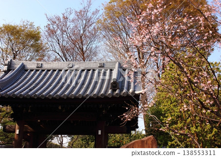 The main gate of Myoshoji Temple in late March The main gate of Myoshoji Temple in late March 138553311