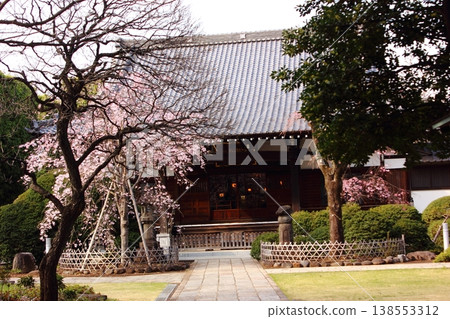三月下旬妙勝寺正殿 138553312