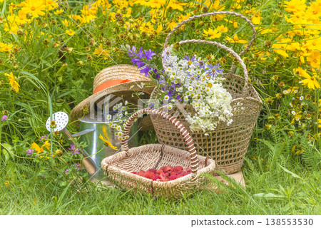 Summer leisure activities concept; Wicker basket with red raspberies, bouquet of wild flowers in a wicker bag, watering can, wicker hat and on a green lawn near blooming yellow flowers Summer leisure activities concept; Wicker basket with red raspberies, bouquet of wild flowers in a wicker bag, watering can, wicker hat and on a green lawn near blooming yellow flowers 138553530