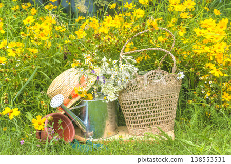 Summer leisure activities concept; Bouquet of wild flowers in a wicker bag and open book on a green lawn near blooming yellow flowers 138553531