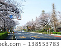 Cherry blossoms on Daigaku-dori in Kunitachi City, Tokyo 2026 138553783