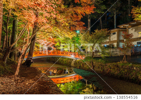 靜岡縣遠富國一宮市小國神社的秋葉 138554516