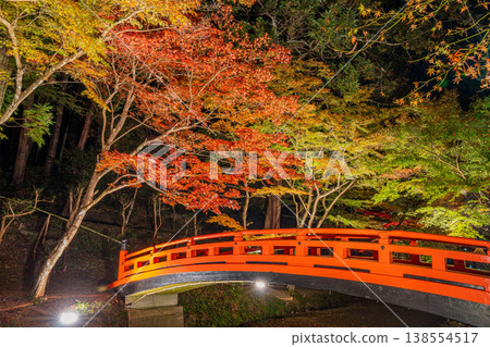 靜岡縣遠富國一宮市小國神社的秋葉 靜岡縣遠富國一宮市小國神社的秋葉 138554517