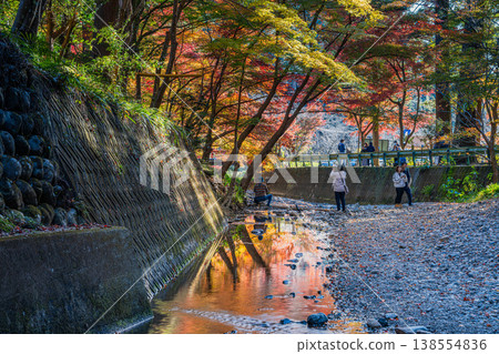 靜岡縣遠富國一宮市小國神社的秋葉 靜岡縣遠富國一宮市小國神社的秋葉 138554836