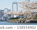 Springtime scenery in Odaiba, Tokyo: Rainbow Bridge and cherry blossoms, a clear, sunny cityscape. 138554902