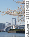 Springtime Tokyo: Cherry blossoms in Odaiba and Rainbow Bridge (vertical composition, copy space background) 138554932