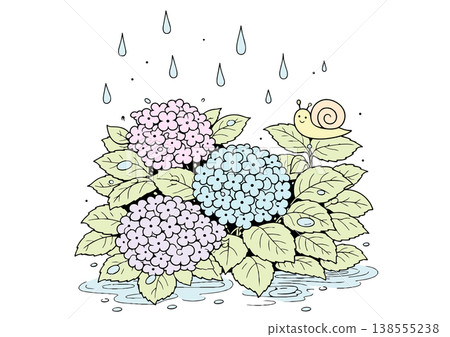 Illustration of hydrangeas and snails on a rainy day 138555238