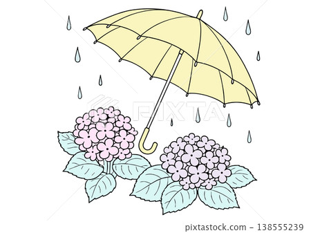 Illustration of hydrangeas and an umbrella 138555239