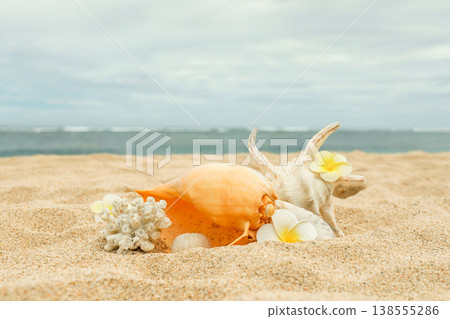 Seashells and flowers sit on sandy beach in Bali 138555286