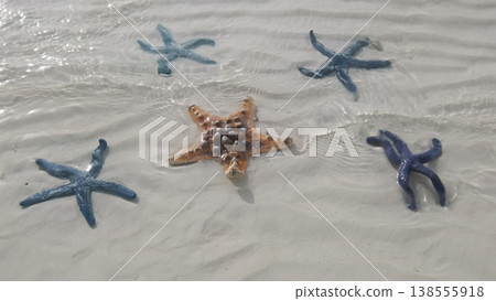 Starfish under water on sand beach Starfish under water on sand beach 138555918