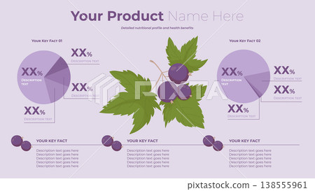 Black Currant Product Infographic Template. Horizontal Layout with Customizable Data Charts and Placeholder Placeholder Text Block, Numbers and Botanical Branch Purple Berries. Vector Illustration. Black Currant Product Infographic Template. Horizontal Layout with Customizable Data Charts and Placeholder Placeholder Text Block, Numbers and Botanical Branch Purple Berries. Vector Illustration. 138555961
