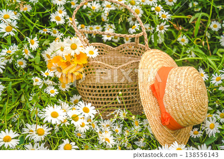 A straw hat, wicker bag with bouquet of white and yellow daisy flowers on a blooming meadow A straw hat, wicker bag with bouquet of white and yellow daisy flowers on a blooming meadow 138556143