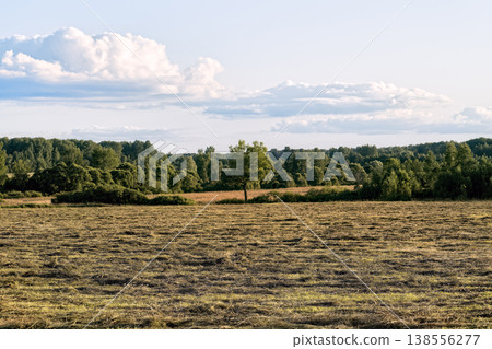 Harvested hay field with a lush green forest background under cloudy blue sky. Harvested hay field with a lush green forest background under cloudy blue sky. 138556277