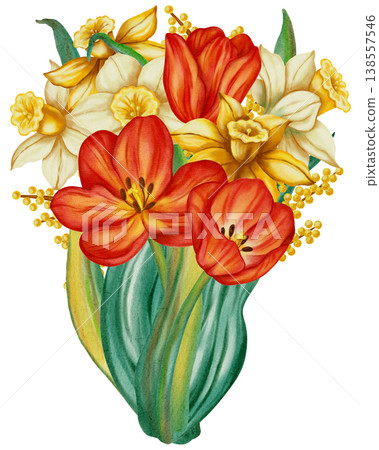 Watercolor illustration of red tulips and daffodils. Spring floral illustration is perfect for holiday cards, greeting cards, International Women's Day cards, and Easter cards. 138557546