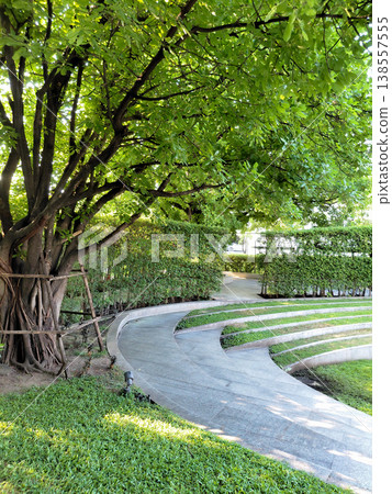 Curved Garden Pathway Under Lush Green Tree Canopy in Urban Park Curved Garden Pathway Under Lush Green Tree Canopy in Urban Park 138557555