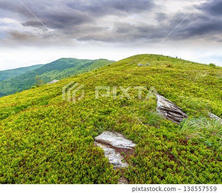 mountain landscape during summer. alpine meadows on green slopes and hills. amazing adventure scenery. cloudy weather. exploration of remote transcarpathia highland location for inspiration 138557559