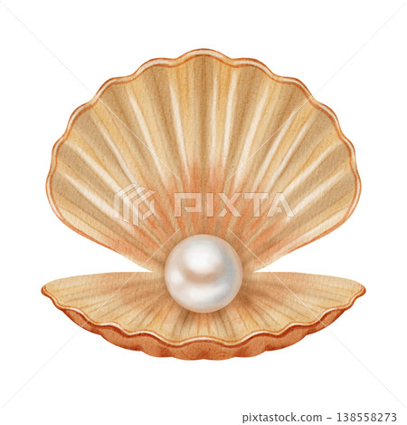 Watercolor illustration with a marine theme, featuring various shells, a spiral scallop shell, an open shell with a pearl. Children's, nautical, travel themes. Suitable for design, prints, postcards Watercolor illustration with a marine theme, featuring various shells, a spiral scallop shell, an open shell with a pearl. Children's, nautical, travel themes. Suitable for design, prints, postcards 138558273