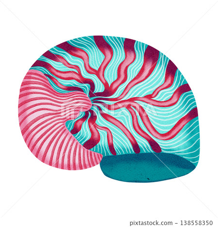 Watercolor illustration of sea shell. Colorful nautical seashell. Bright illustrations, suitable for cheerful summer designs, textiles, summer and children's clothing. Print for babies. 138558350