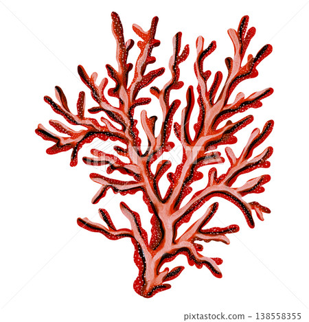 Watercolor illustration of seaweed. Underwater plant. Bright illustrations, suitable for cheerful summer designs, sea travel, textiles, summer and children's clothing. Print for children's. Watercolor illustration of seaweed. Underwater plant. Bright illustrations, suitable for cheerful summer designs, sea travel, textiles, summer and children's clothing. Print for children's. 138558355