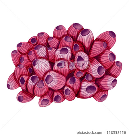 Watercolor illustration of seaweed. Underwater plant. Bright illustrations, suitable for cheerful summer designs, sea travel,  textiles, summer and children's clothing. Print for children's. 138558356